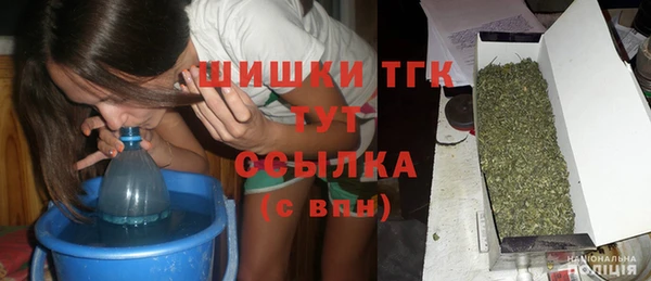 СК Семилуки