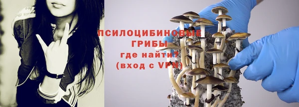 дживик Снежногорск