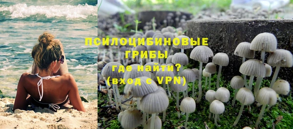 амф Снежинск