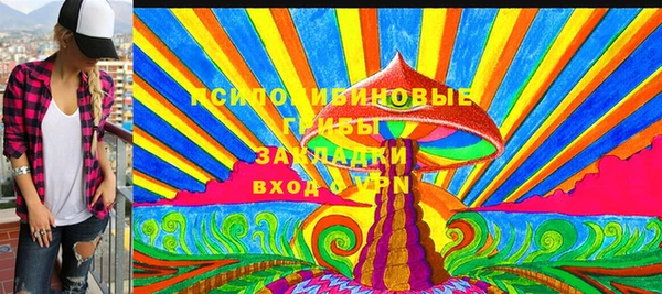дживик Снежногорск