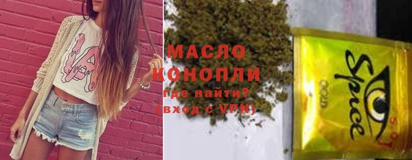 дживик Снежногорск