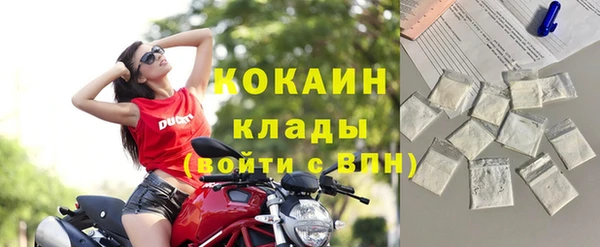 дживик Снежногорск