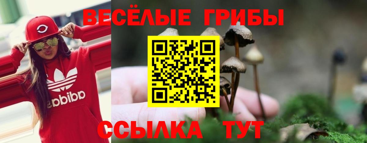 Псилоцибиновые грибы Psilocybine cubensis  Галлюциногенные грибы Psilocybine cubensis  Вход с VPN  что такое   Камышин 