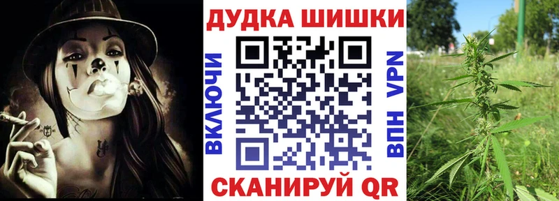 Бошки марихуана сатива  Камышин 