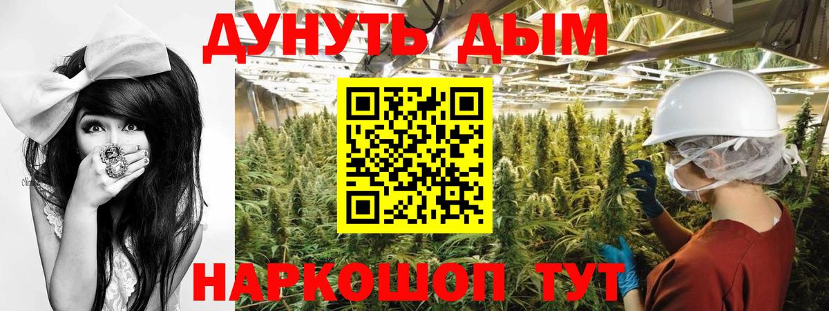 Конопля Bruce Banner  Вход с VPN  Шишки марихуана семена  Камышин 